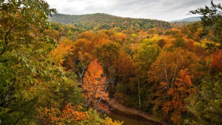 Buffalo River in the Autumn